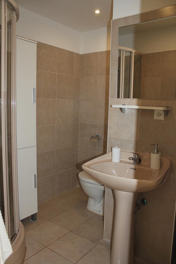 Ferienwohnung Viktorie Frýdek-Místek Exterior foto